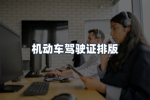 机动车驾驶证排版